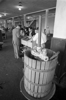 Un pressoir à vin dans l’annexe d’immigration du Quai 21 (1965).